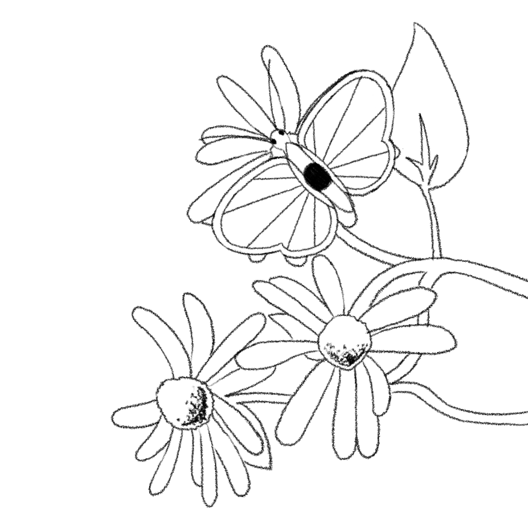 A looping animation of a butterfleye resting on a flower