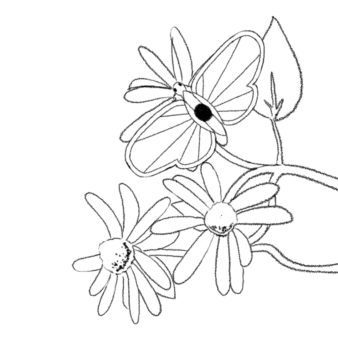 A looping animation of a butterfleye resting on a flower