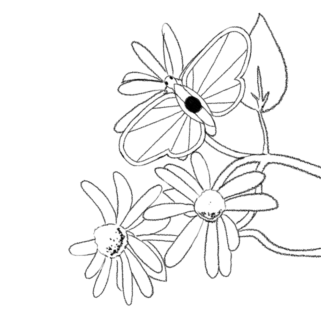 A looping animation of a butterfleye resting on a flower