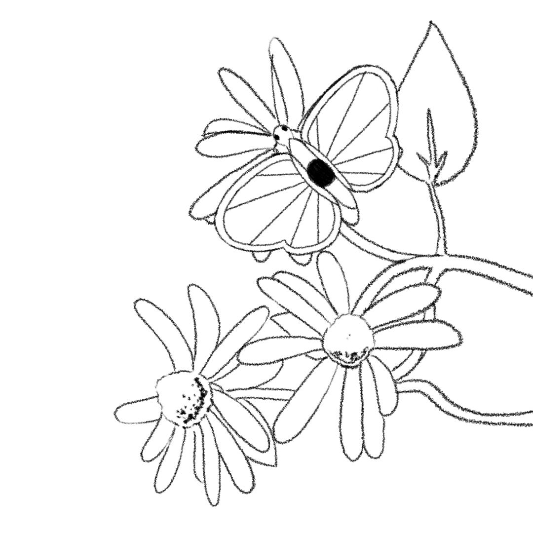 A looping animation of a butterfleye resting on a flower
