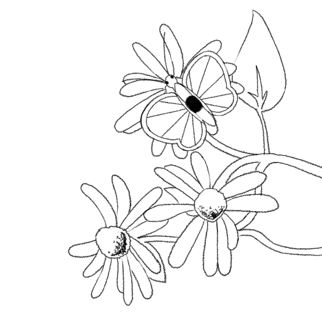A looping animation of a butterfleye resting on a flower