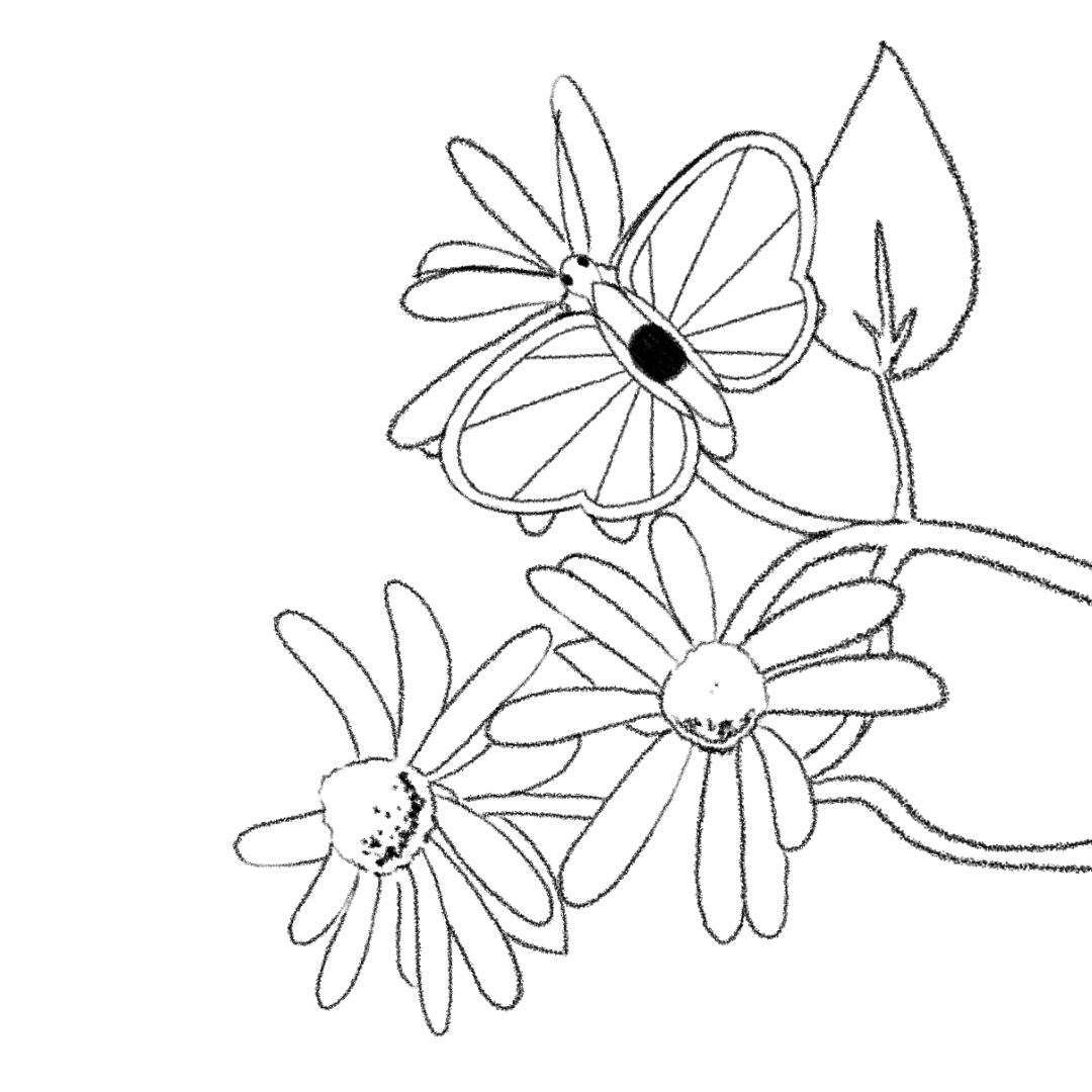 A looping animation of a butterfleye resting on a flower