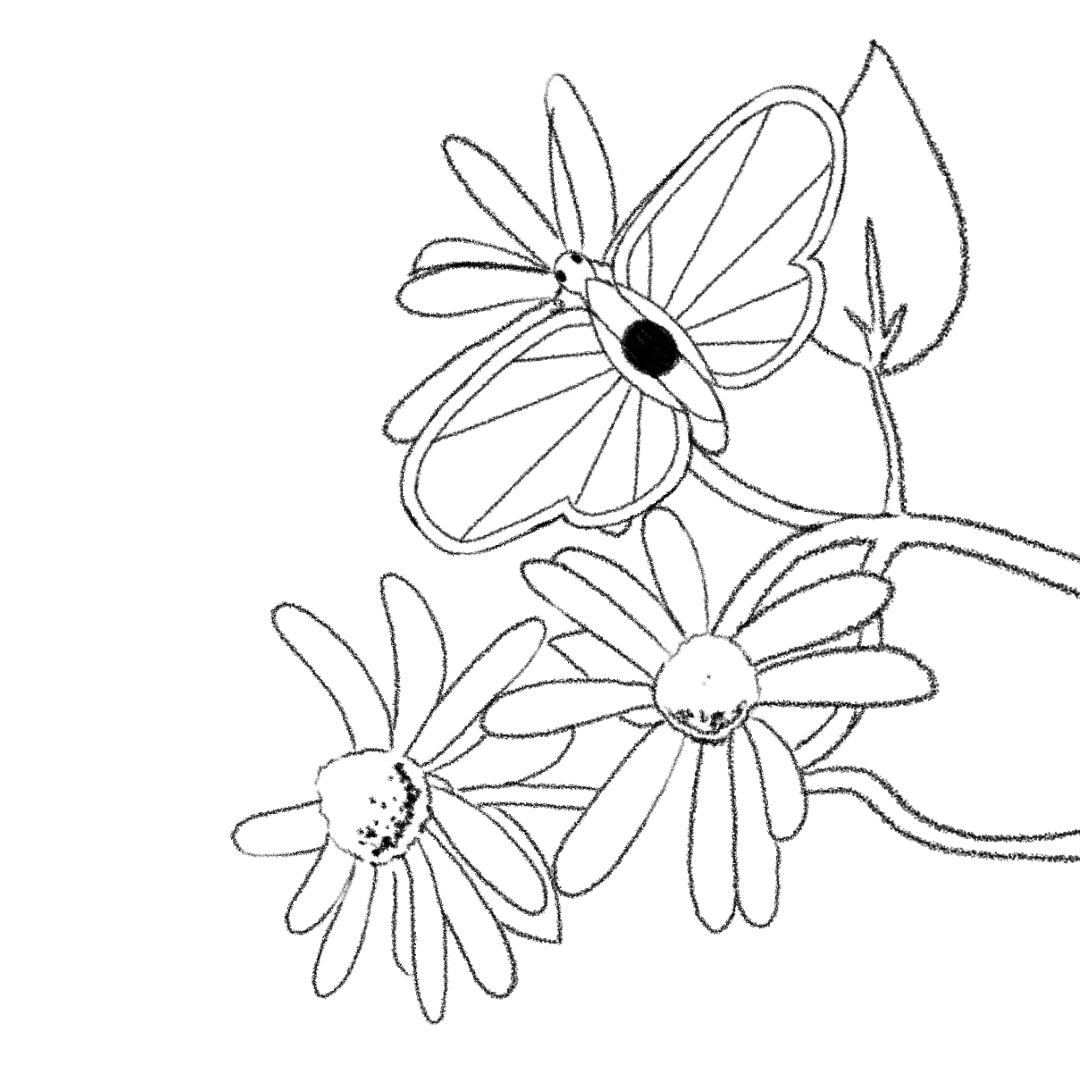 A looping animation of a butterfleye resting on a flower