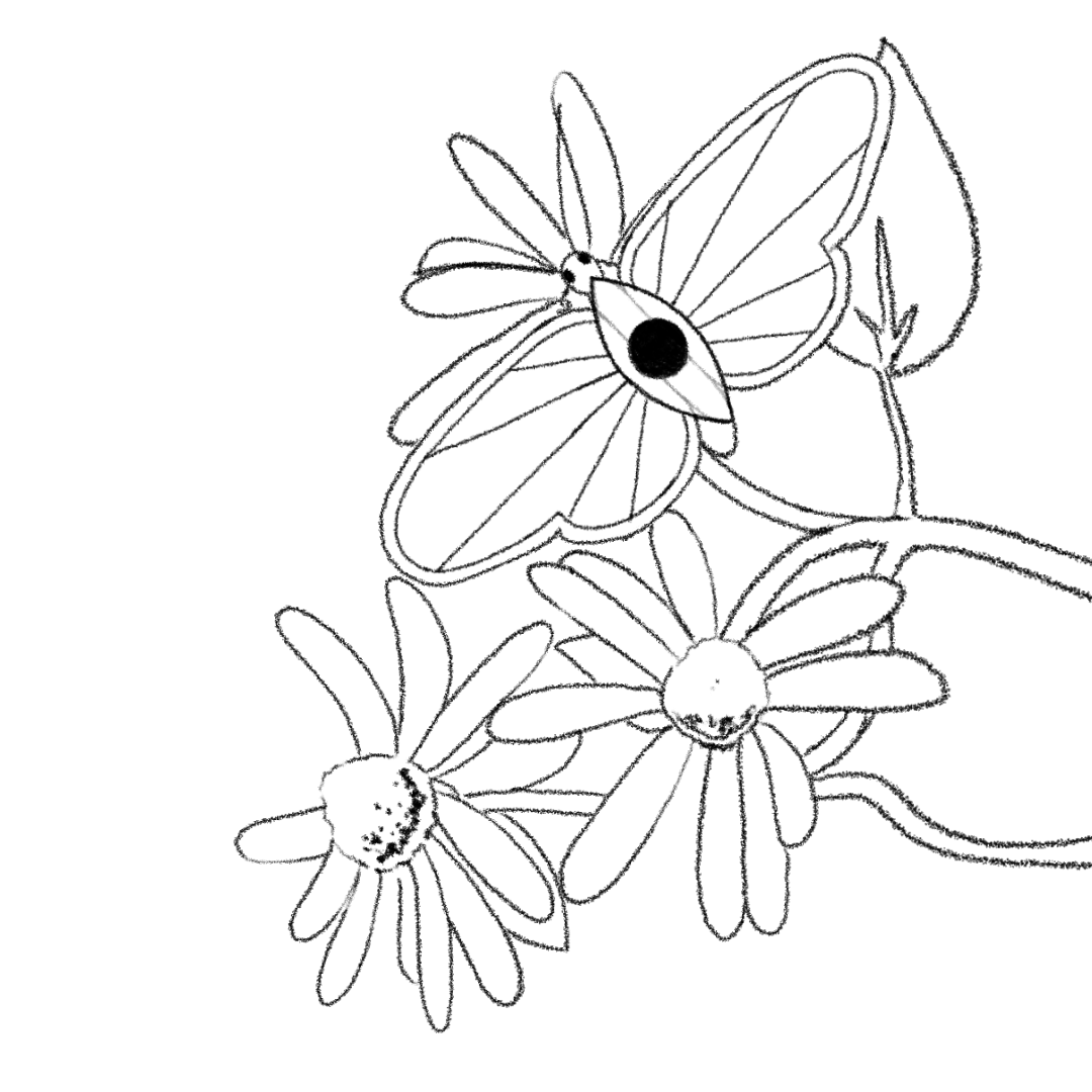 A looping animation of a butterfleye resting on a flower