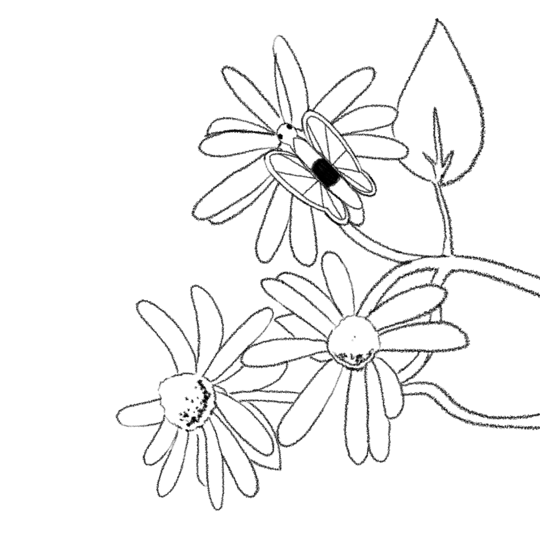 A looping animation of a butterfleye resting on a flower