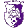 ACS Champions FC Arges