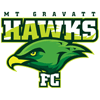 MT Gravatt Hawks