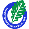 Ergene Velimese Spor