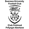 Swansea University