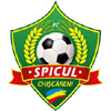 FC Spicul Chiscareni