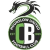 Cb Hounslow United