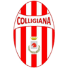 VF Colligiana