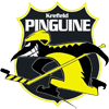 Krefeld Pinguine