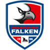 Heilbronner Falken