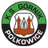 KS Gornik Polkowice