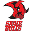 Saale Bulls Halle