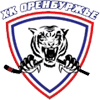 Belye Tigry Orenburg
