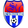 FC Slobozia Mare