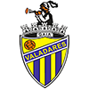 Valadares Gaia FC