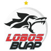 Lobos Buap