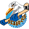 Haugesund Seagulls