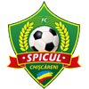 FC Spicul Copceac