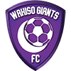 Wakiso Giants FC