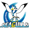 Okayama Seagulls