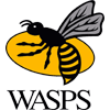 Wasps RFC