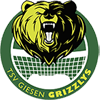 TSV Giesen Grizzlys