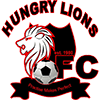 Hungry Lion