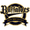 Orix Buffaloes