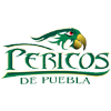 Pericos de Puebla