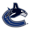 Vancouver Canucks