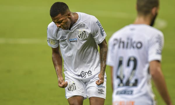 Brasileirao Series A: Atletico MG v Santos Play Behind Closed Doors Amidst the Coronavirus (COVID - 19) Pandemic