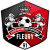 FC Fleury 91