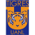 CF Tigres UANL