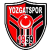 Yozgatspor 1959 FK