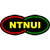 Ntnui Volleyball