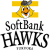 Fukuoka Softbank Hawks