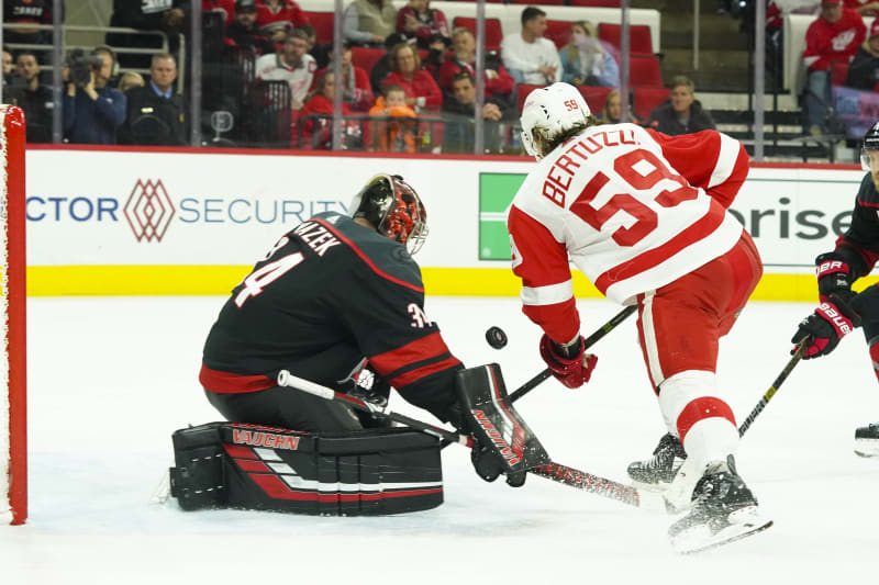 NHL: Detroit Red Wings at Carolina Hurricanes