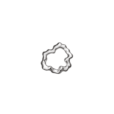 Mozab Silver Earring 2