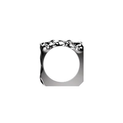 Tehran Silver Ring 4