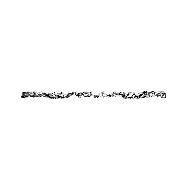 Persian Radiance Silver Earring 1