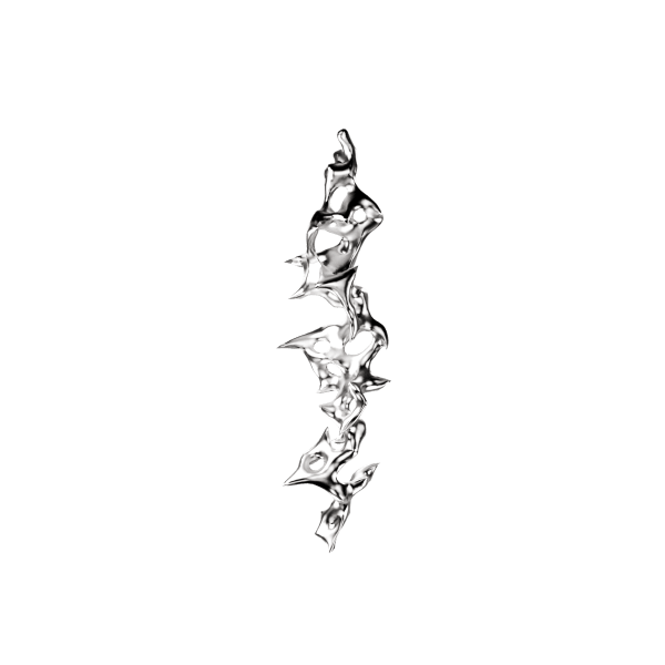Tiz Silver Earring 1