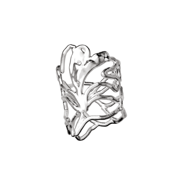 Mozab Silver Ring 5 alternate view