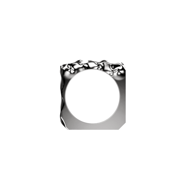 Tehran Silver Ring 4