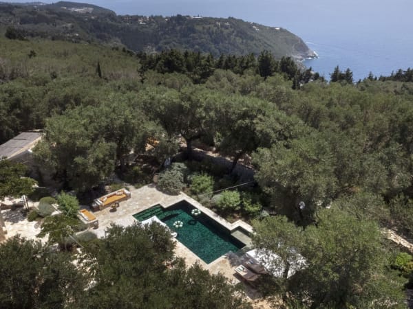 Aperghis is surrounded by acres of olive groves.