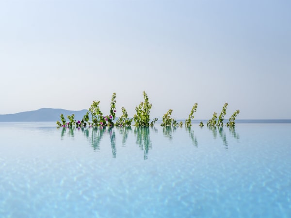 Stunning views from the pool.