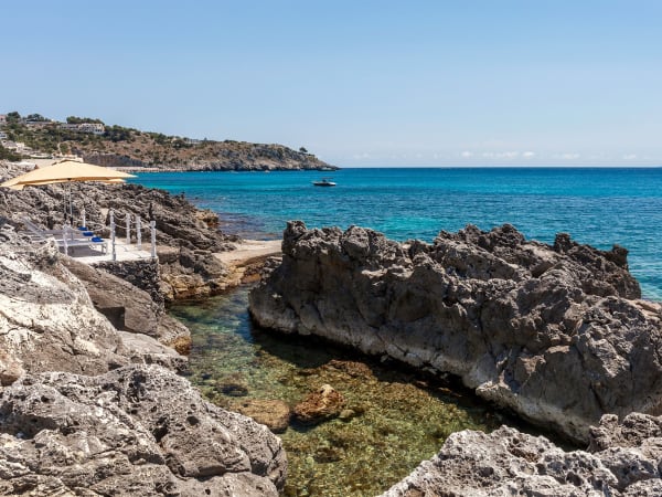 There are wonderful snorkelling spots just outside the garden gate.